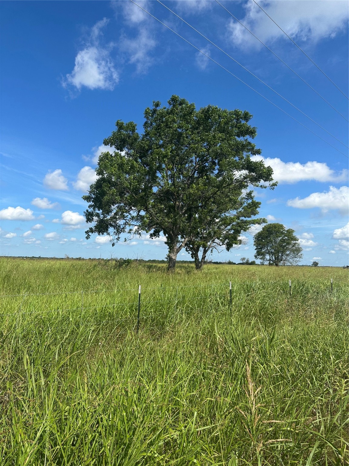 1490 County Road 3430 Honey Grove TX 75446