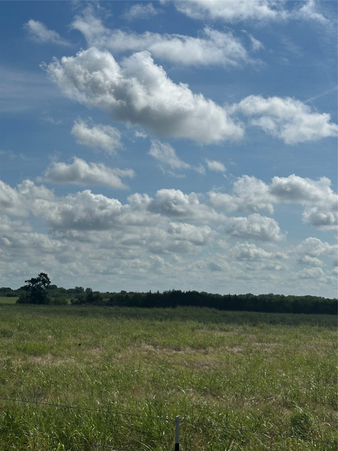 1490 County Road 3430 Honey Grove TX 75446