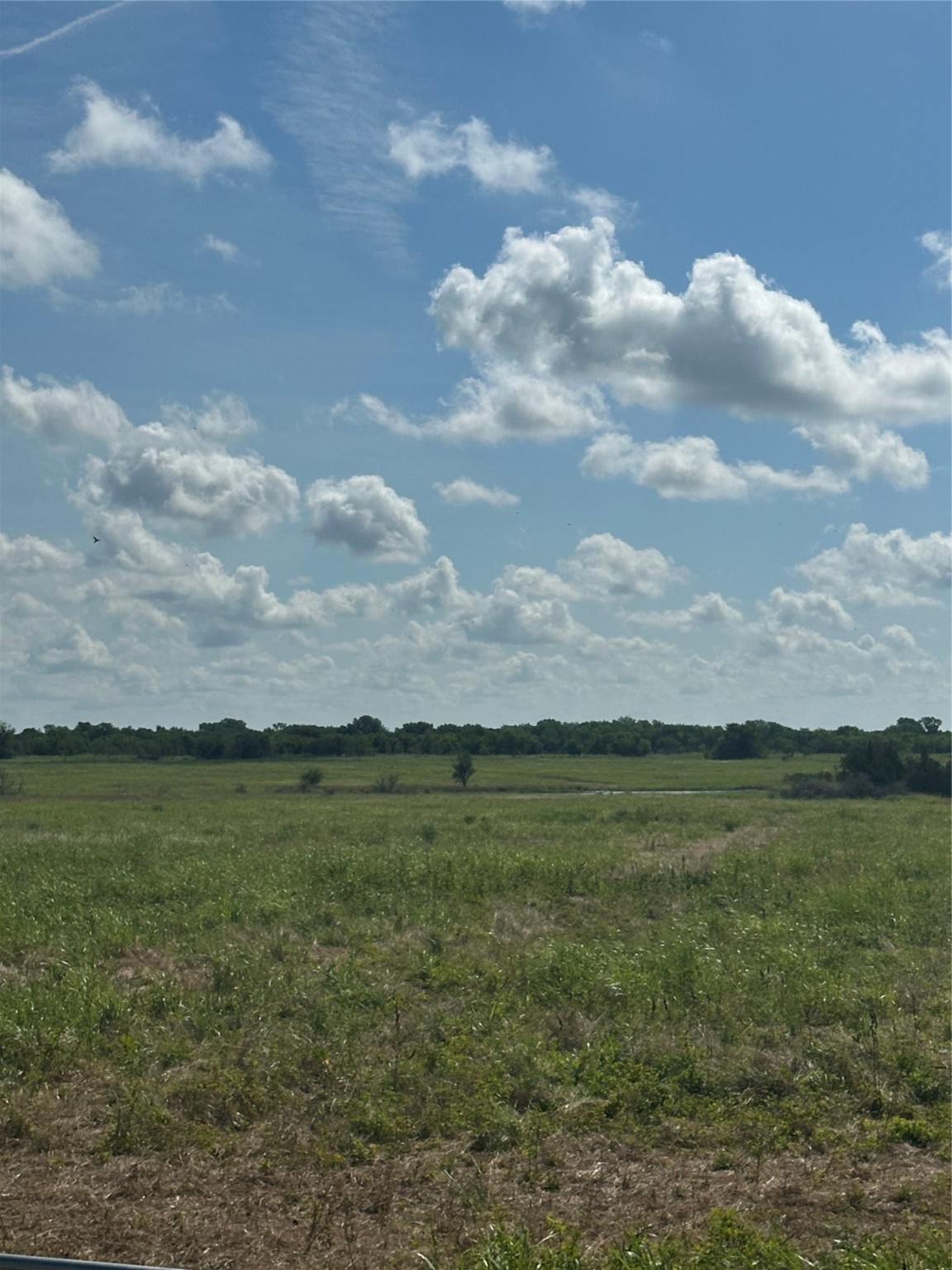 1490 County Road 3430 Honey Grove TX 75446