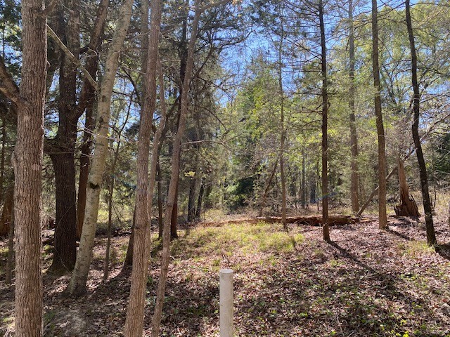 Lots 30 - 32 Armadillo Drive Murchison TX 75778