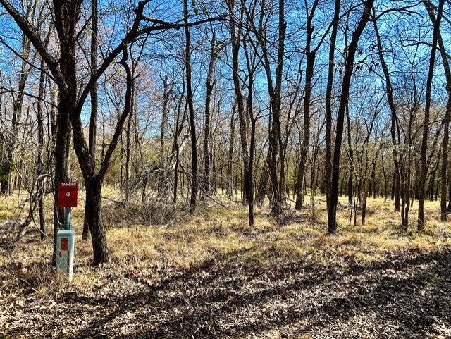 Tbd Rs County Road 3500 Emory TX 75440