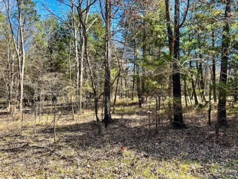 Tbd Rs County Road 3500 Emory TX 75440