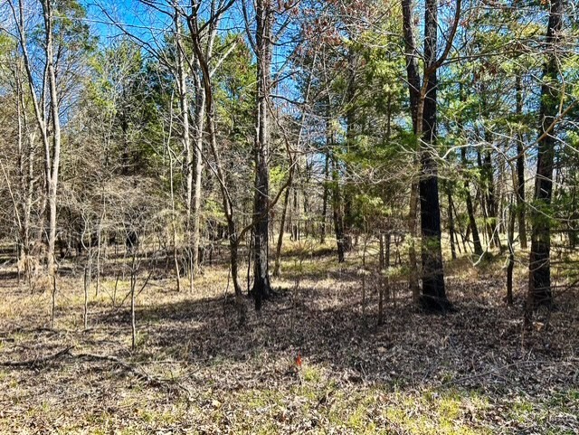 Tbd Rs County Road 3500 Emory TX 75440