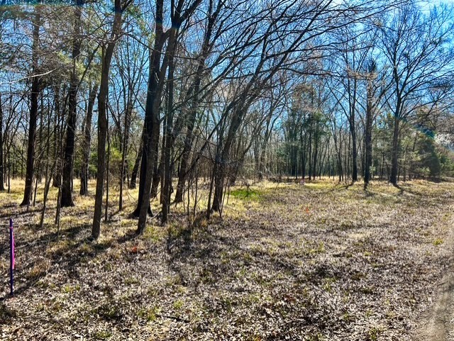 Tbd Rs County Road 3500 Emory TX 75440