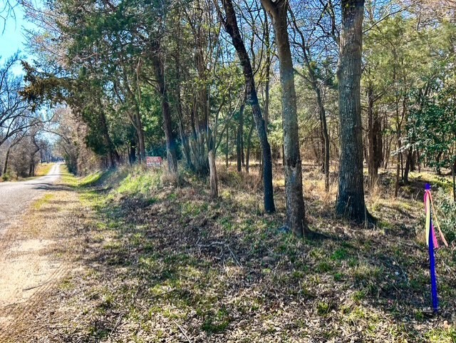 Tbd Rs County Road 3500 Emory TX 75440