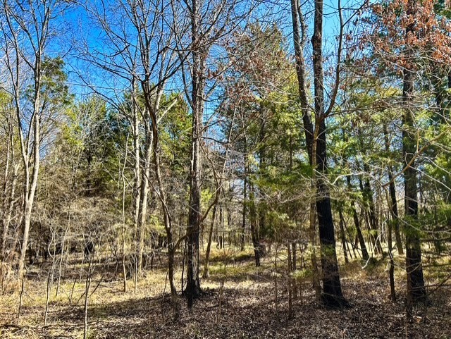 Tbd Rs County Road 3500 Emory TX 75440