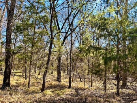 Tbd Rs County Road 3500 Emory TX 75440