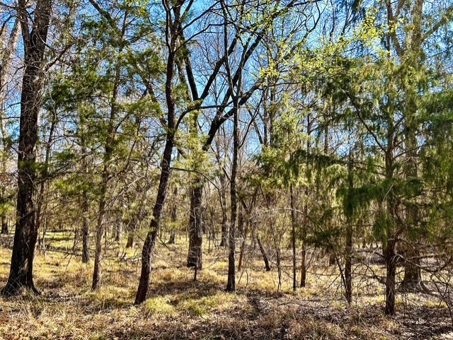 Tbd Rs County Road 3500 Emory TX 75440