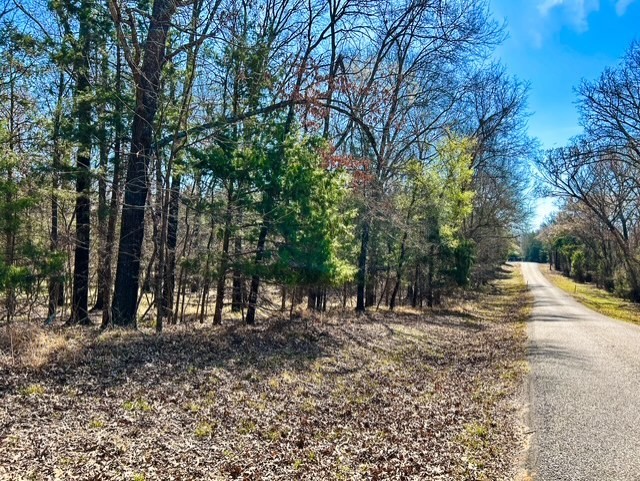 Tbd Rs County Road 3500 Emory TX 75440