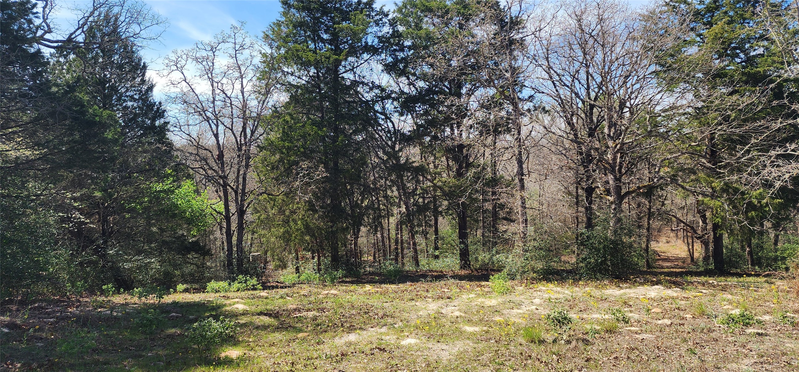14612 County Road 1114 Athens TX 75751