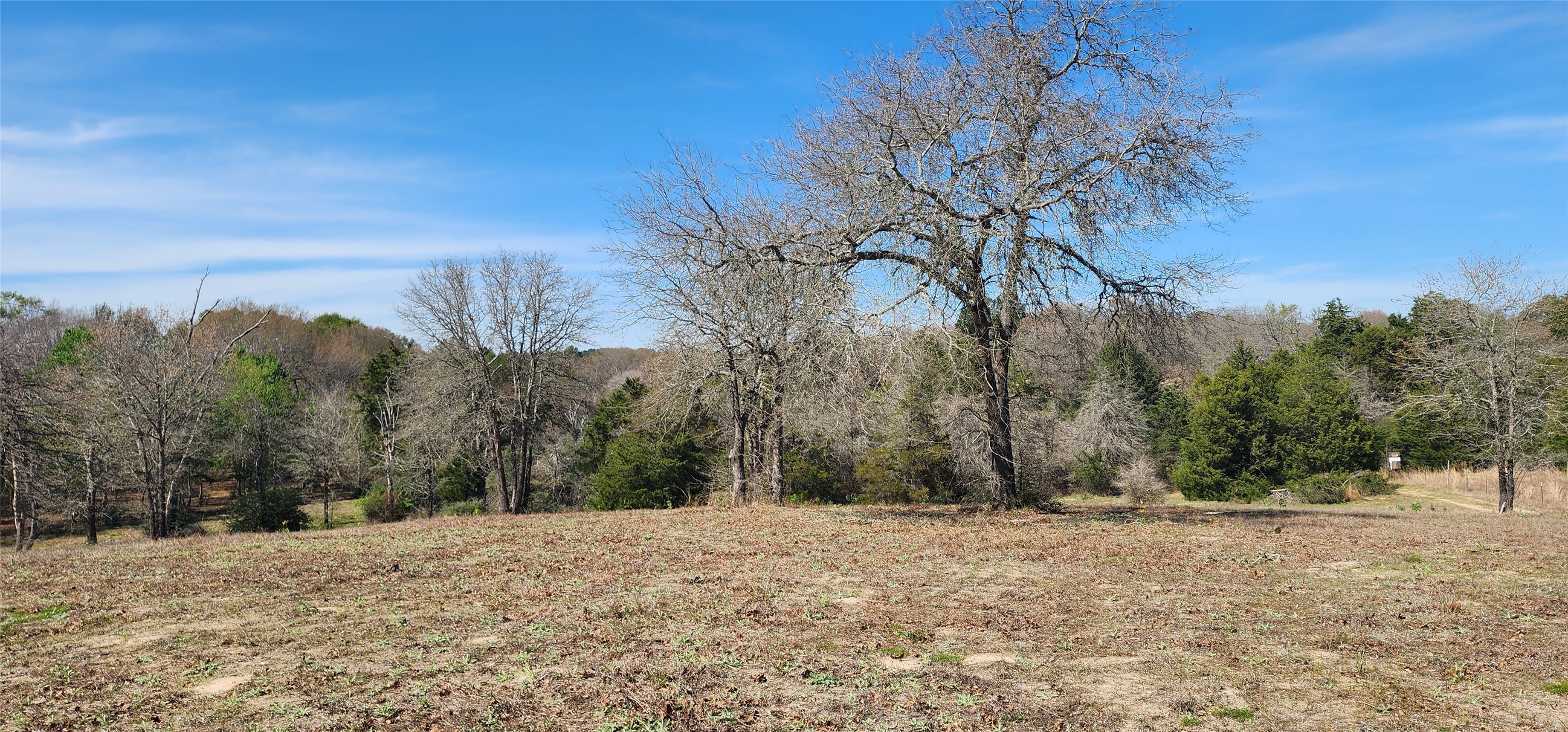 14612 County Road 1114 Athens TX 75751