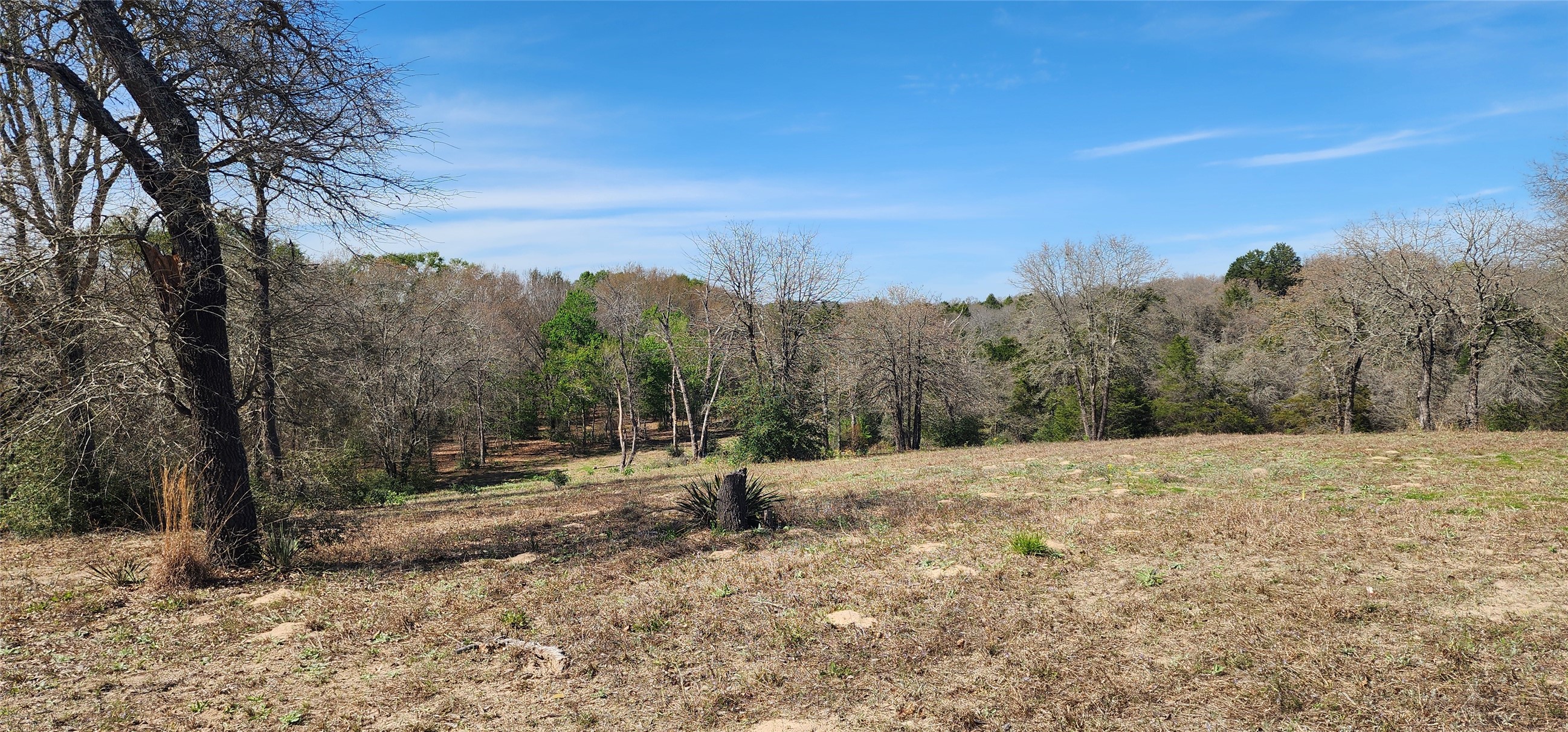 14612 County Road 1114 Athens TX 75751