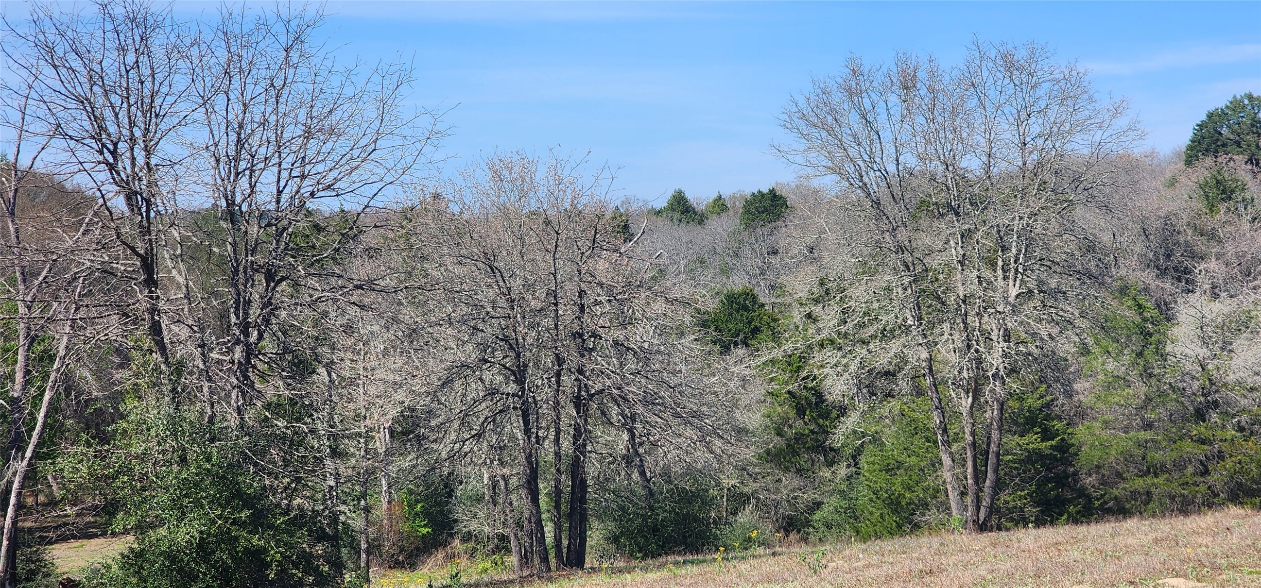 14612 County Road 1114 Athens TX 75751