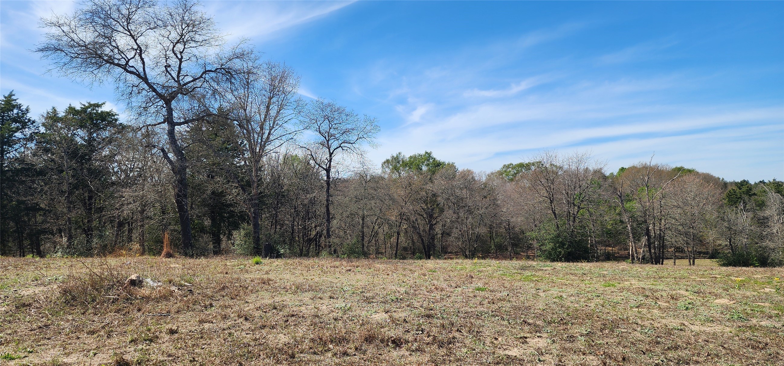 14612 County Road 1114 Athens TX 75751