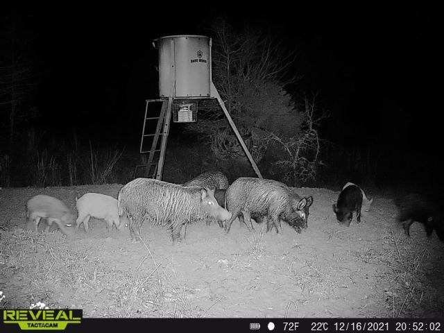 14612 County Road 1114 Athens TX 75751