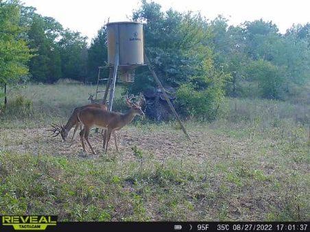 14612 County Road 1114 Athens TX 75751