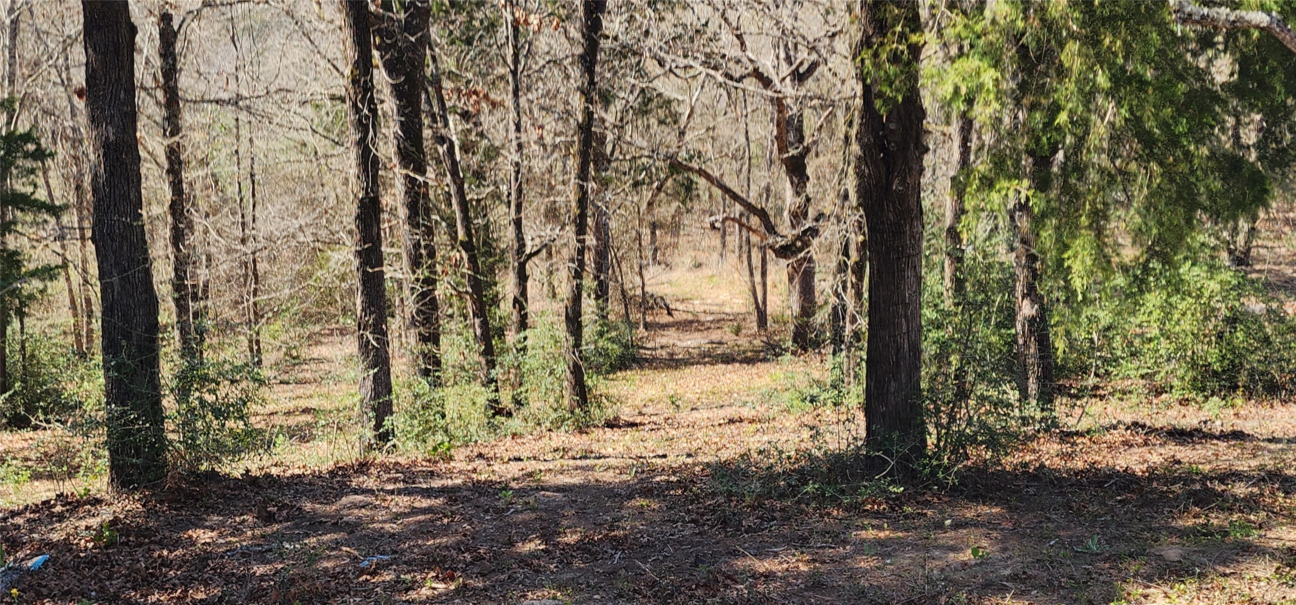 14612 County Road 1114 Athens TX 75751