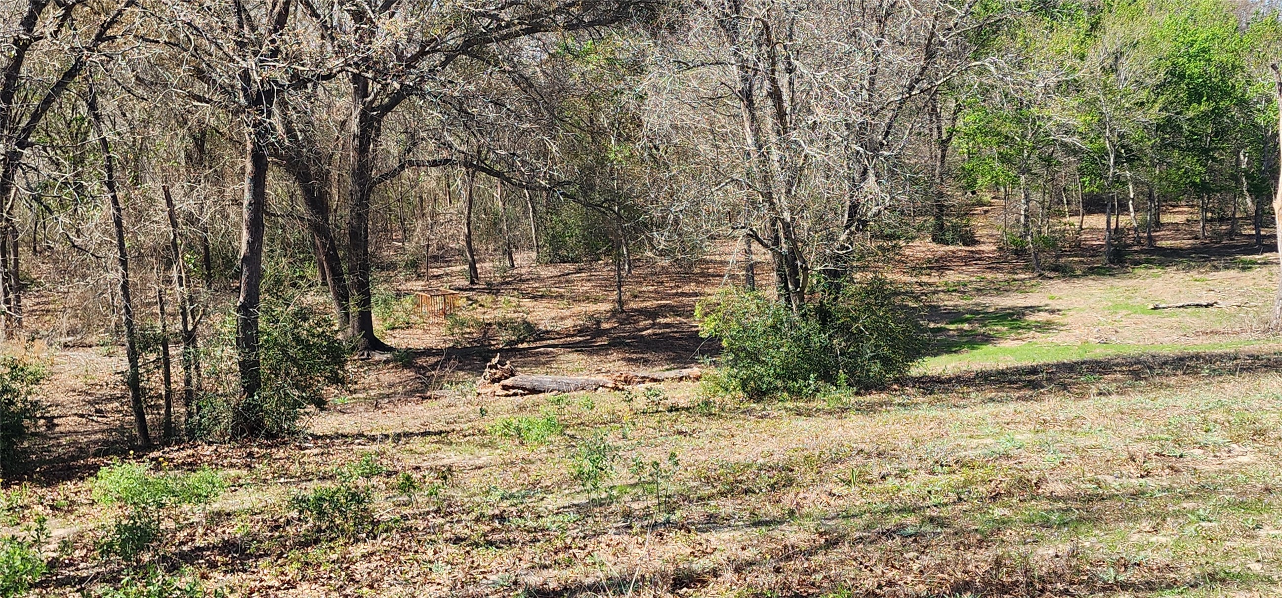 14612 County Road 1114 Athens TX 75751
