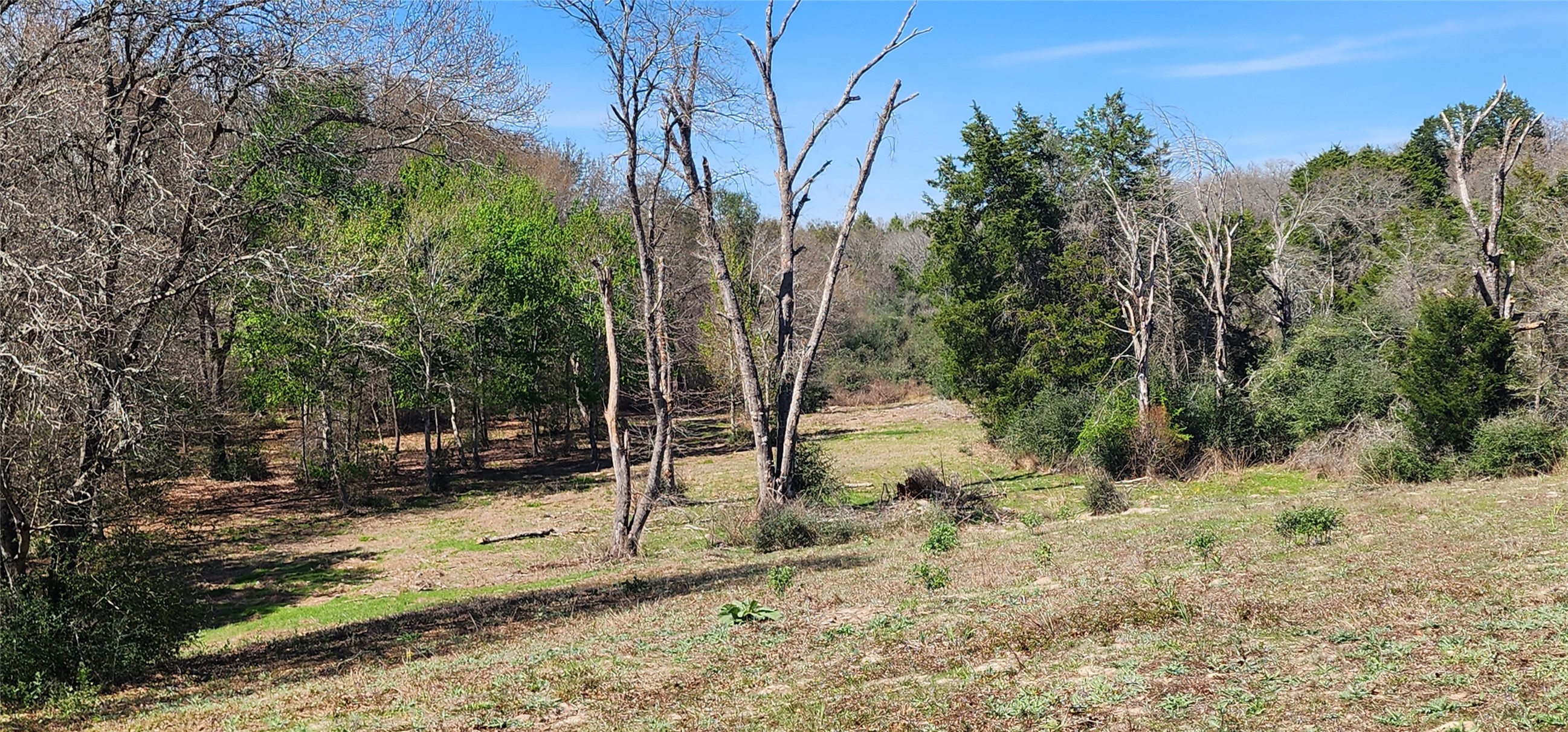 14612 County Road 1114 Athens TX 75751