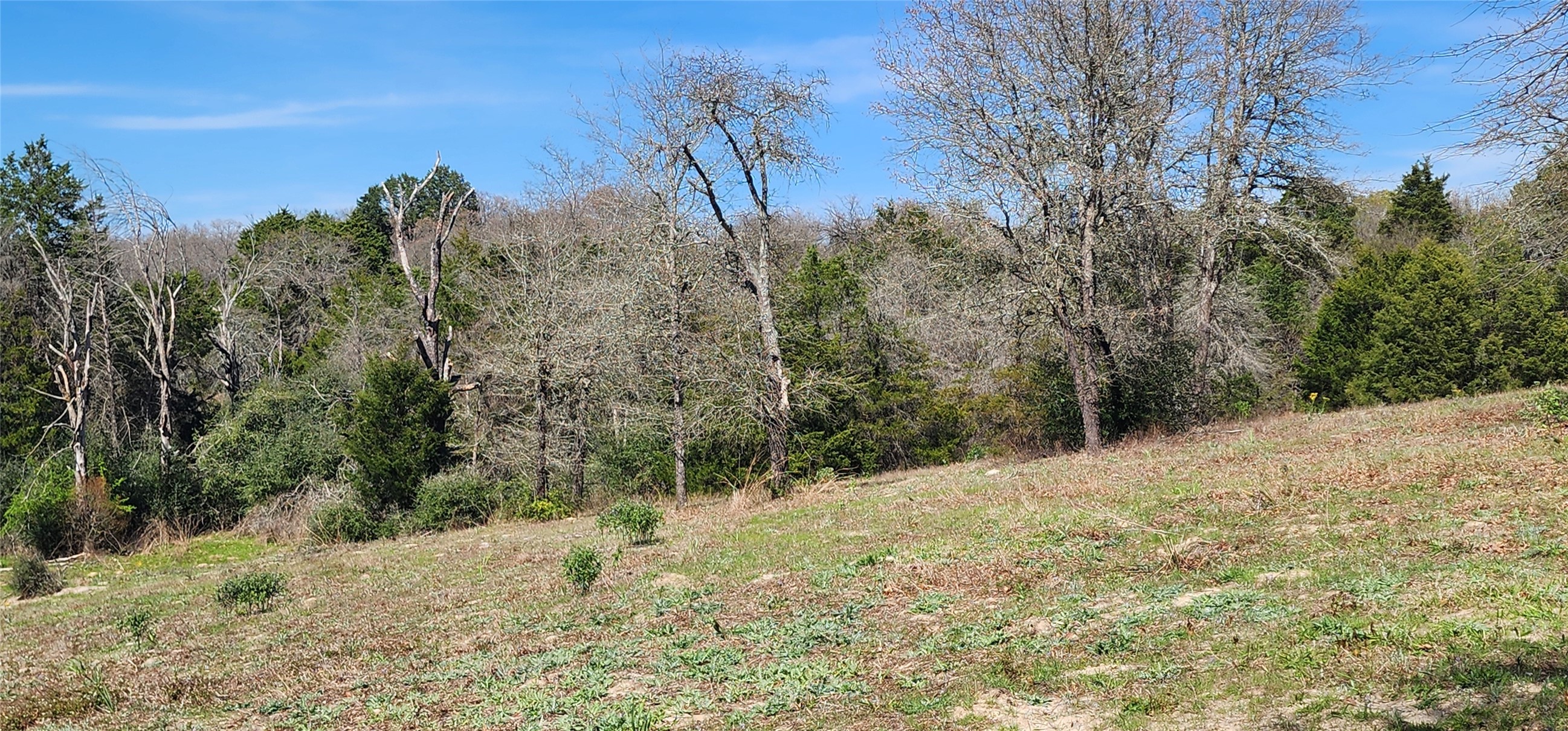 14612 County Road 1114 Athens TX 75751