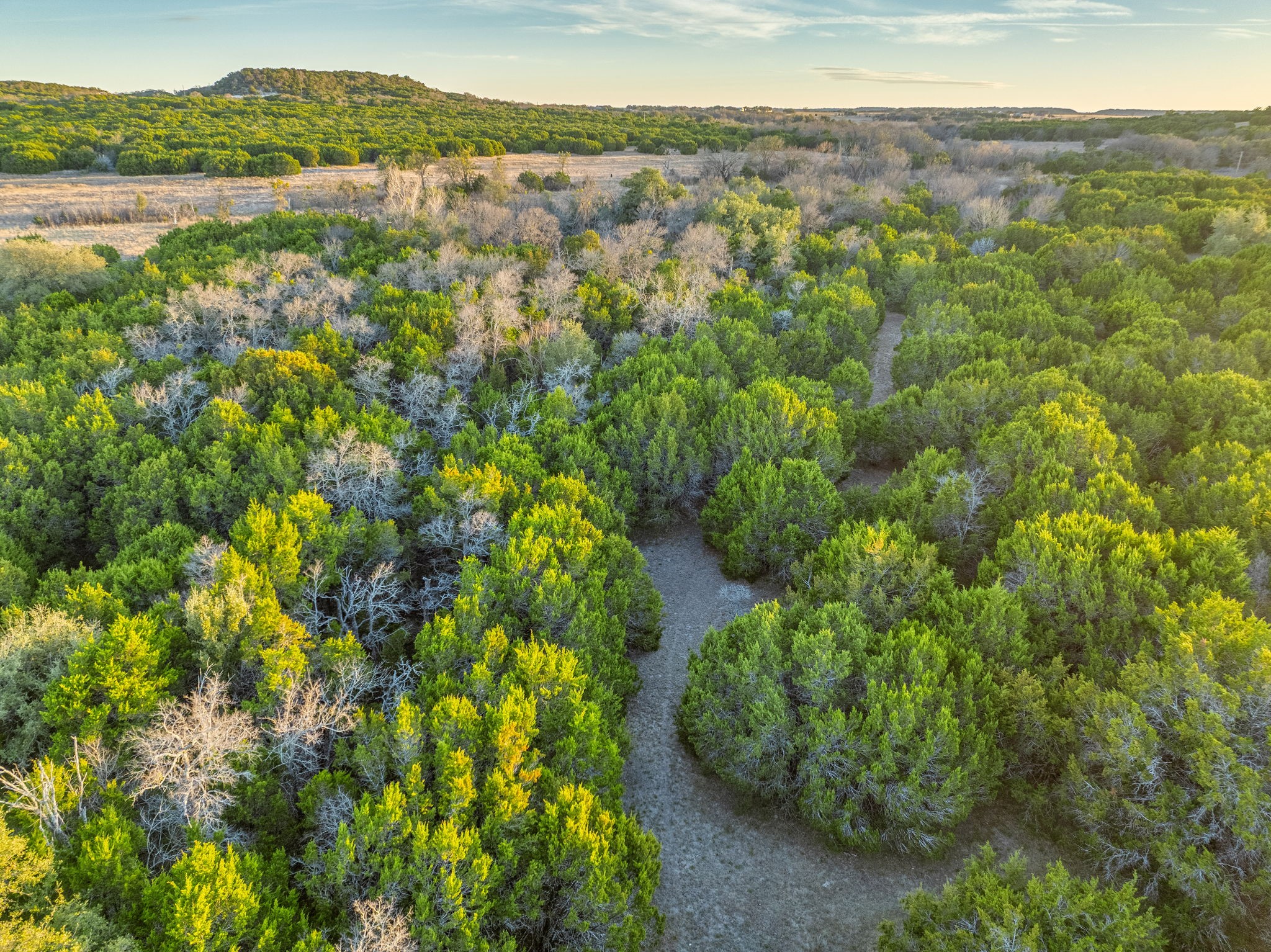 3651 County Road 4145 Cranfills Gap TX 76637