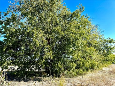 Lot 10 Cr-590 Nevada TX 75173