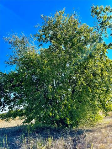 Lot 10 Cr-590 Nevada TX 75173