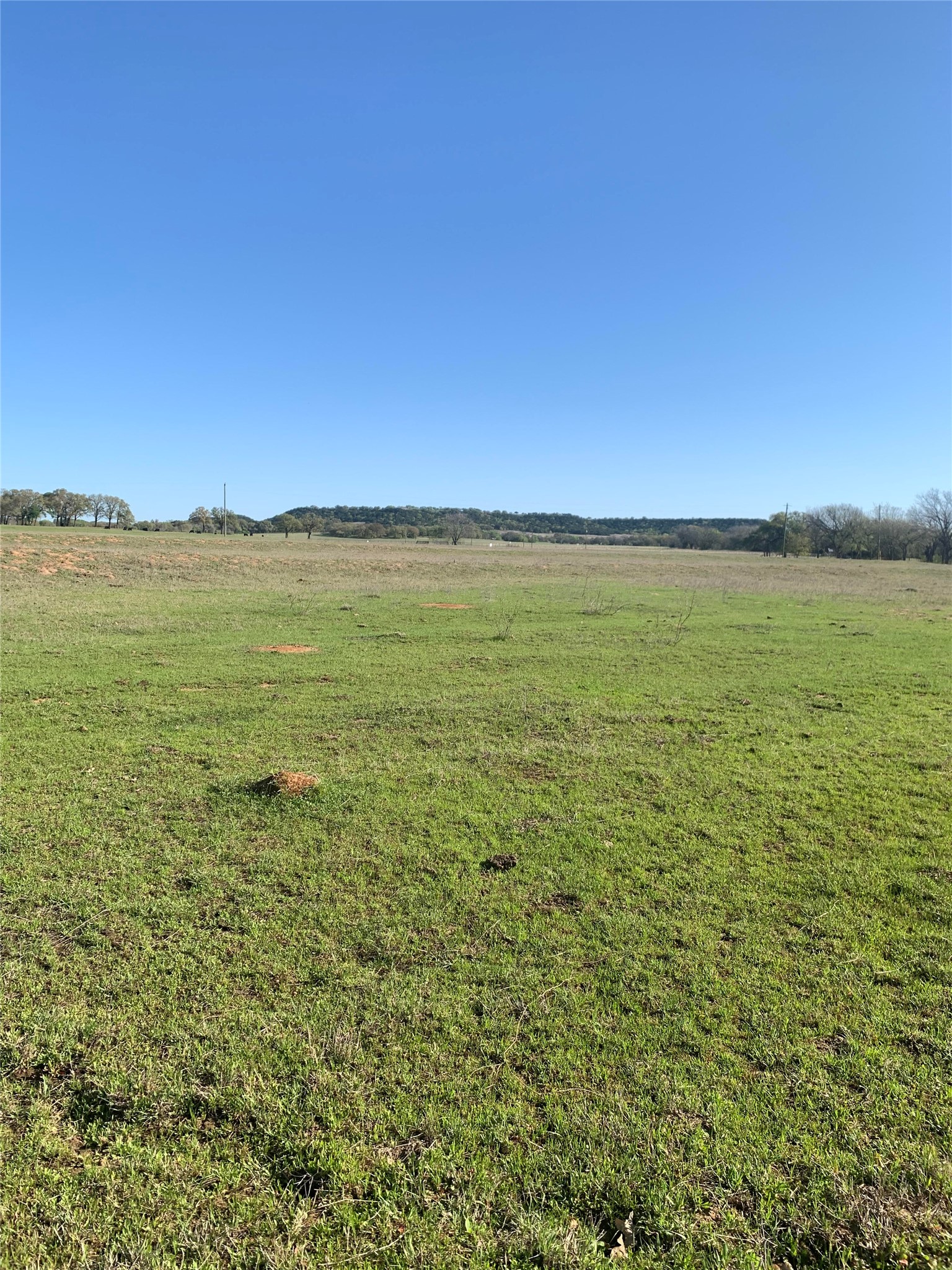 3039 Pear Orchard Road Granbury TX 76048