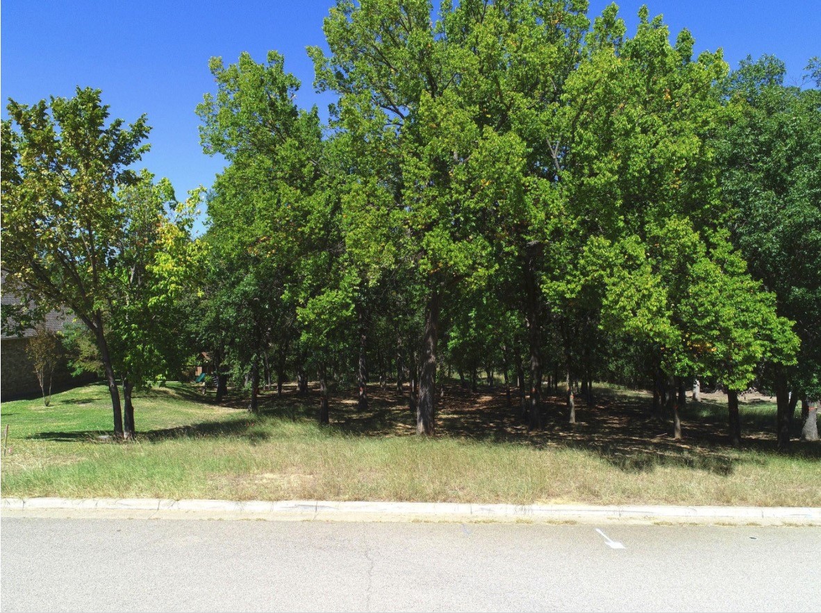 2101 Clear Creek Drive Weatherford TX 76087
