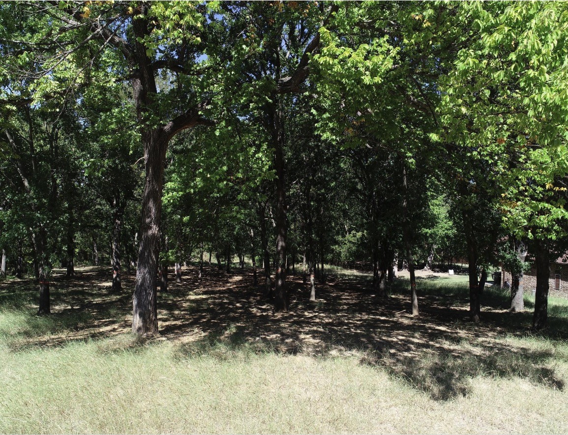 2101 Clear Creek Drive Weatherford TX 76087