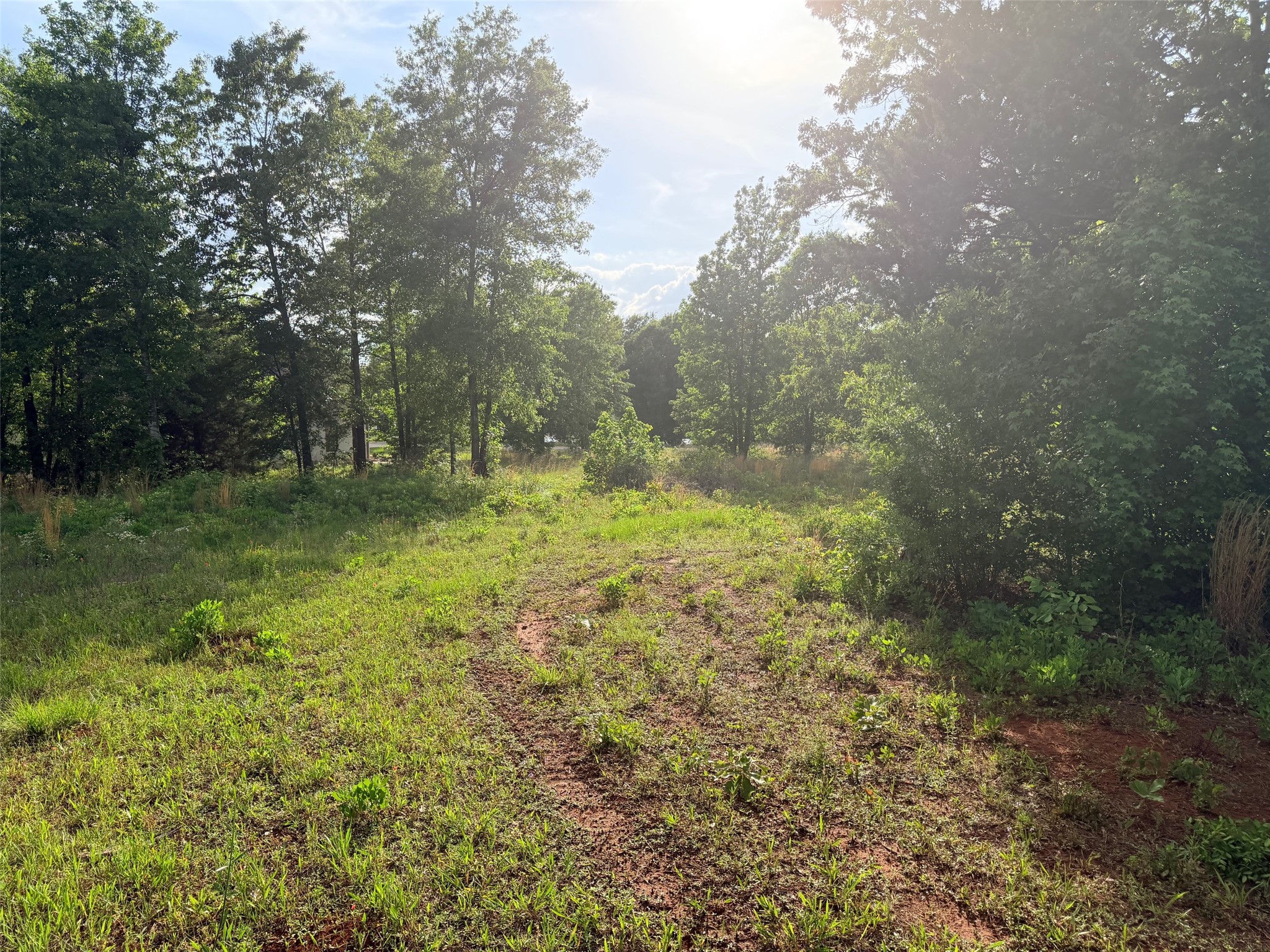 830 Stone Chimney Road Bullard TX 75757