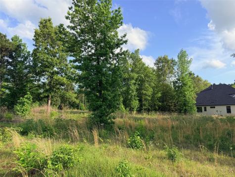 830 Stone Chimney Road Bullard TX 75757