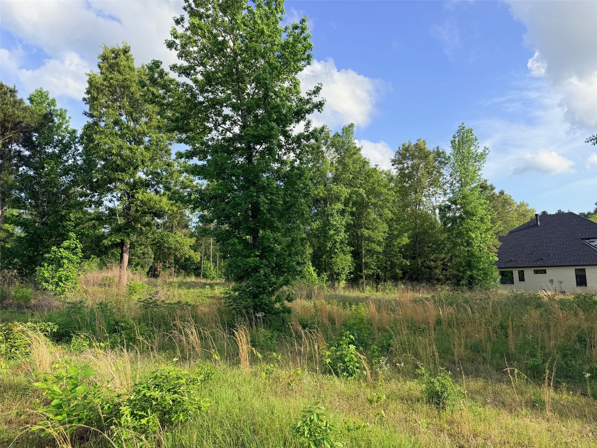830 Stone Chimney Road Bullard TX 75757