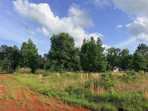 830 Stone Chimney Road Bullard TX 75757