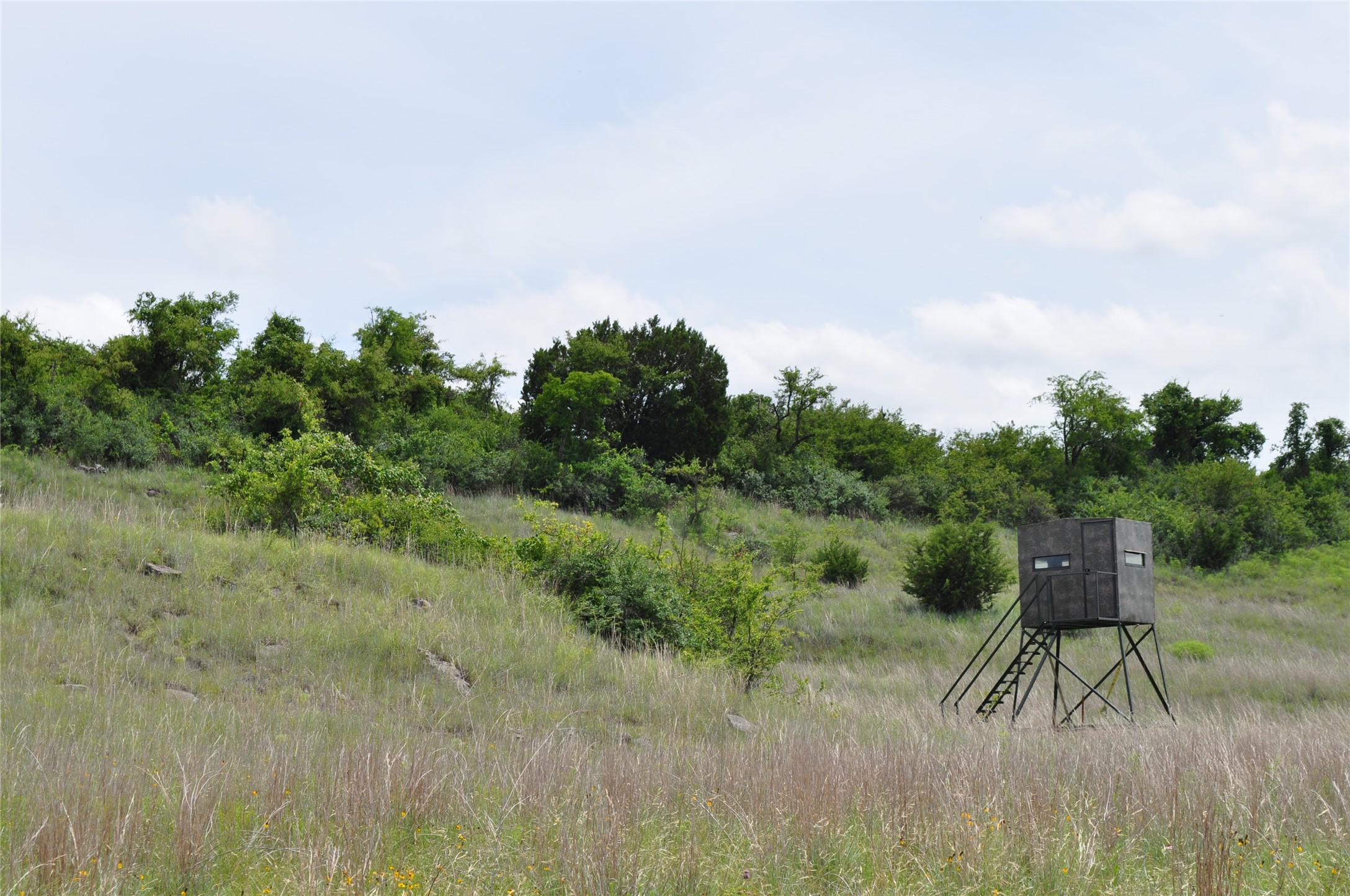 1849 Two Bush Road Perrin TX 76486