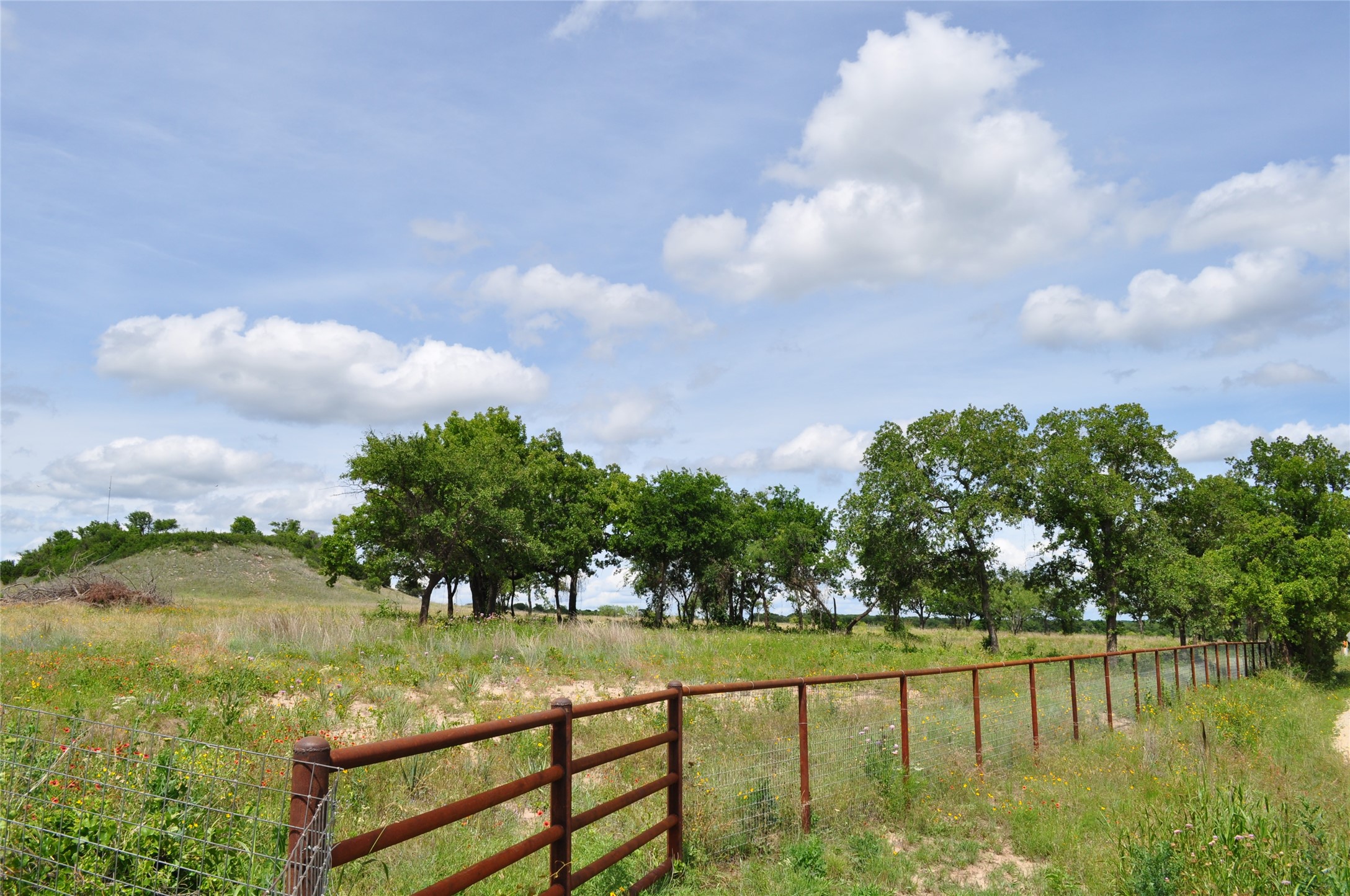 1849 Two Bush Road Perrin TX 76486