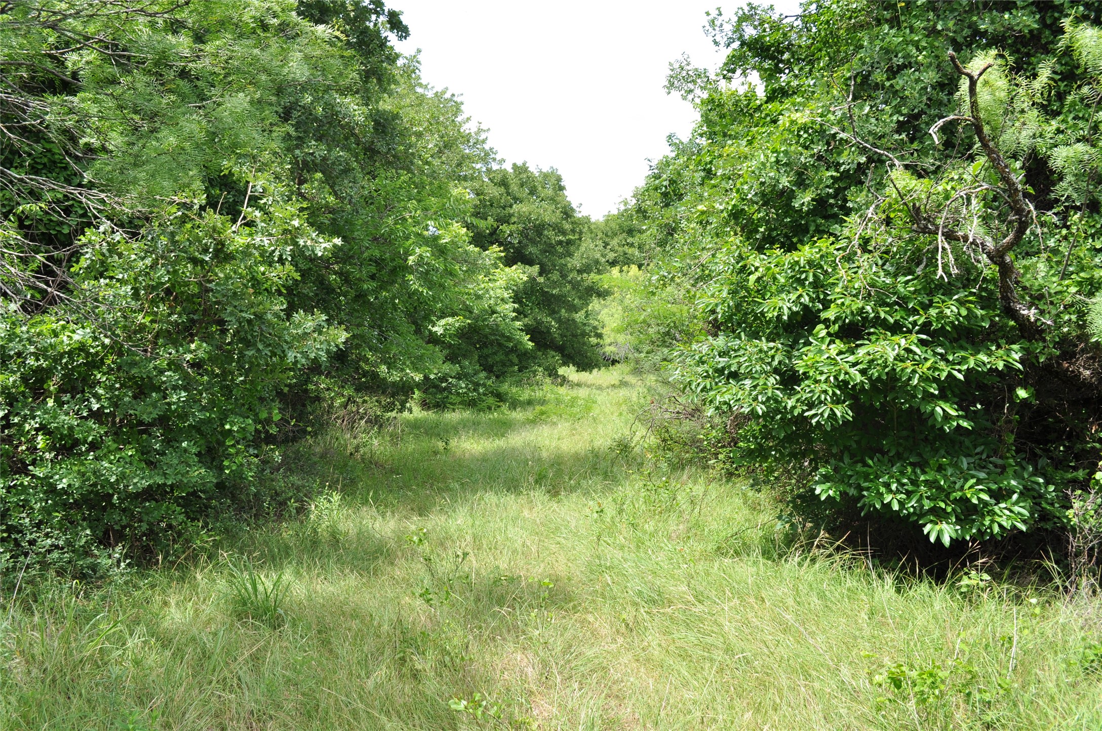 1849 Two Bush Road Perrin TX 76486