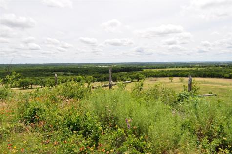 1849 Two Bush Road Perrin TX 76486
