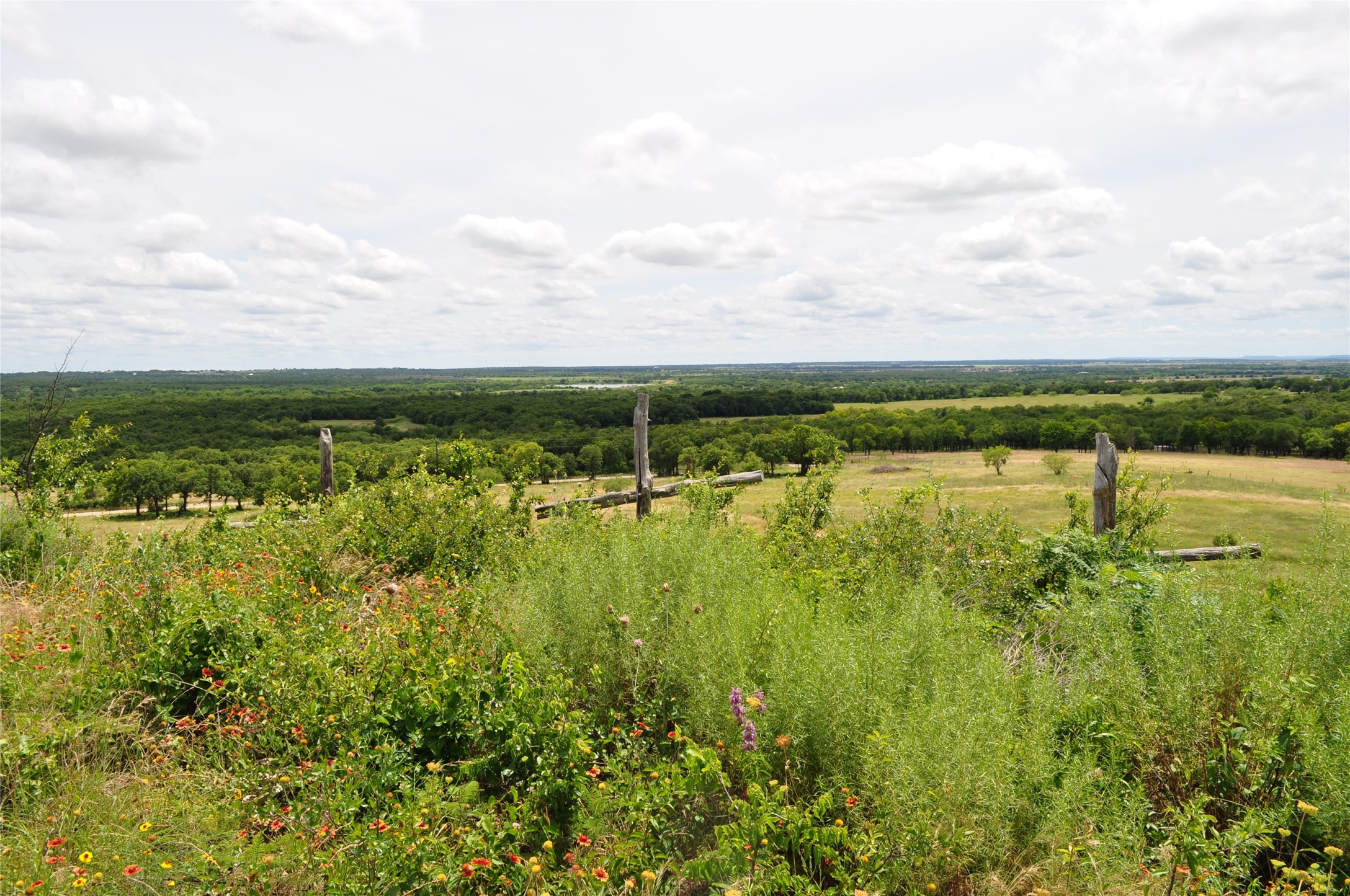 1849 Two Bush Road Perrin TX 76486