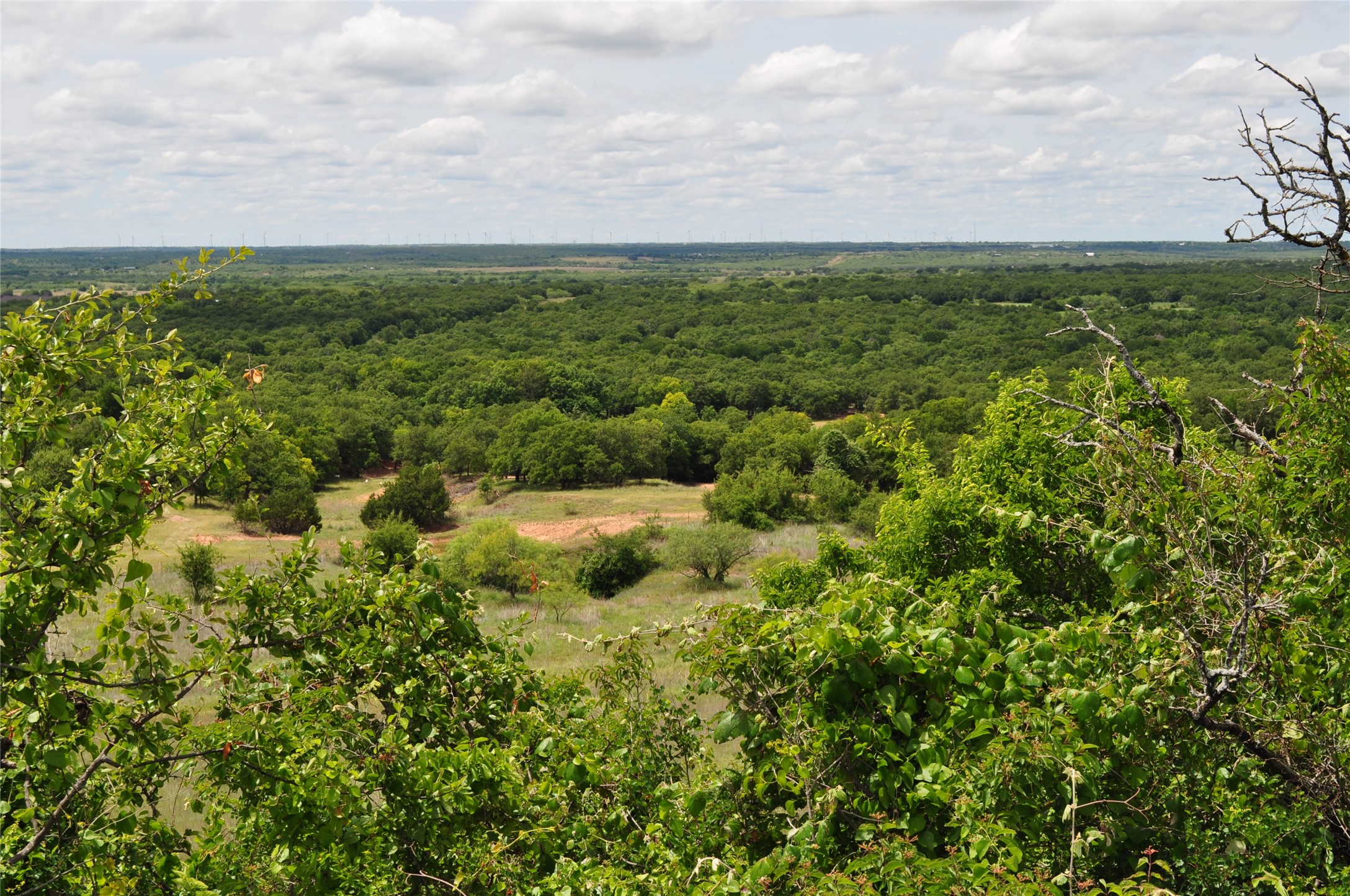 1849 Two Bush Road Perrin TX 76486