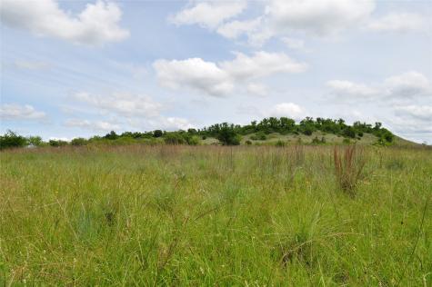1849 Two Bush Road Perrin TX 76486