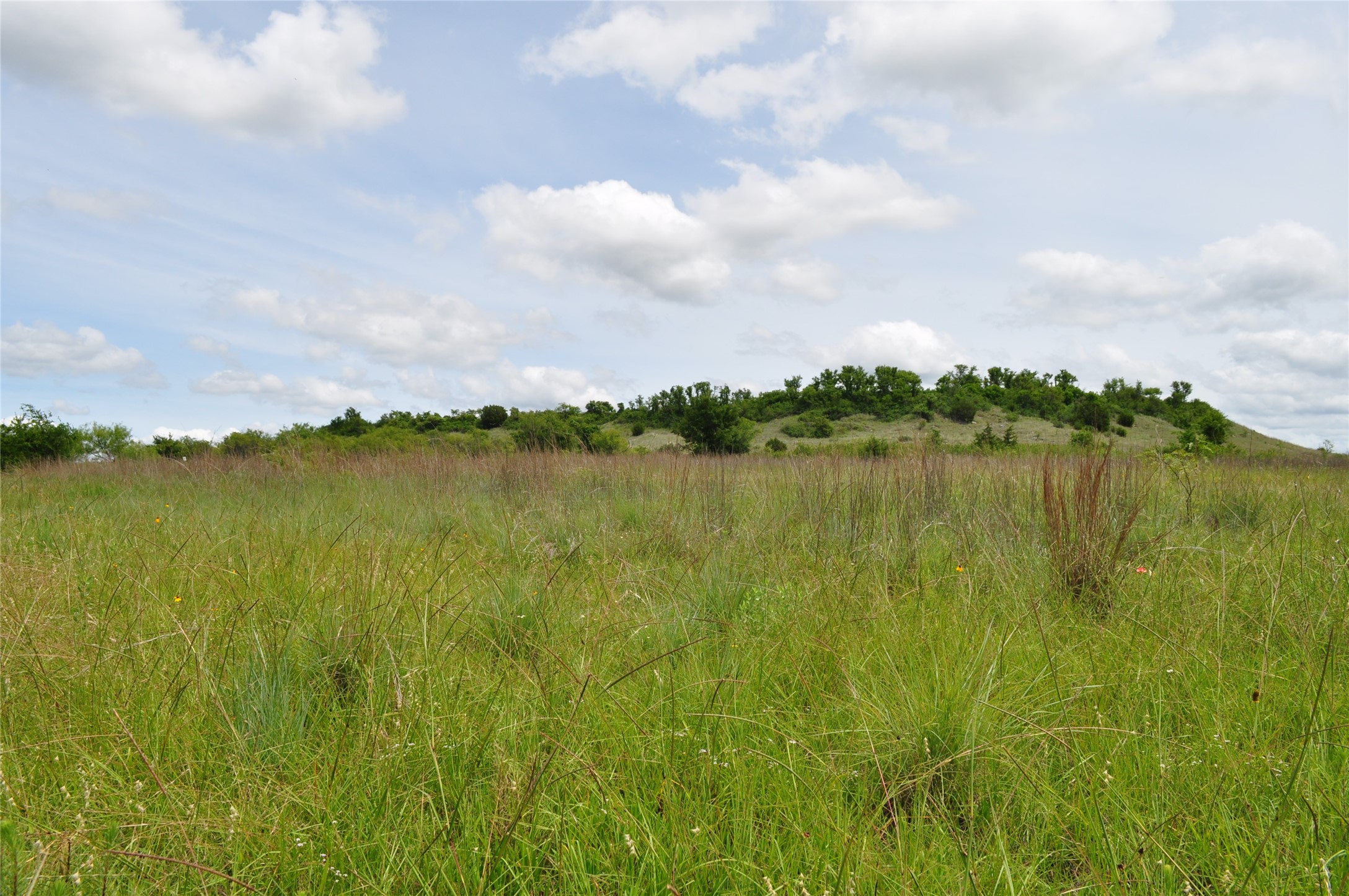 1849 Two Bush Road Perrin TX 76486