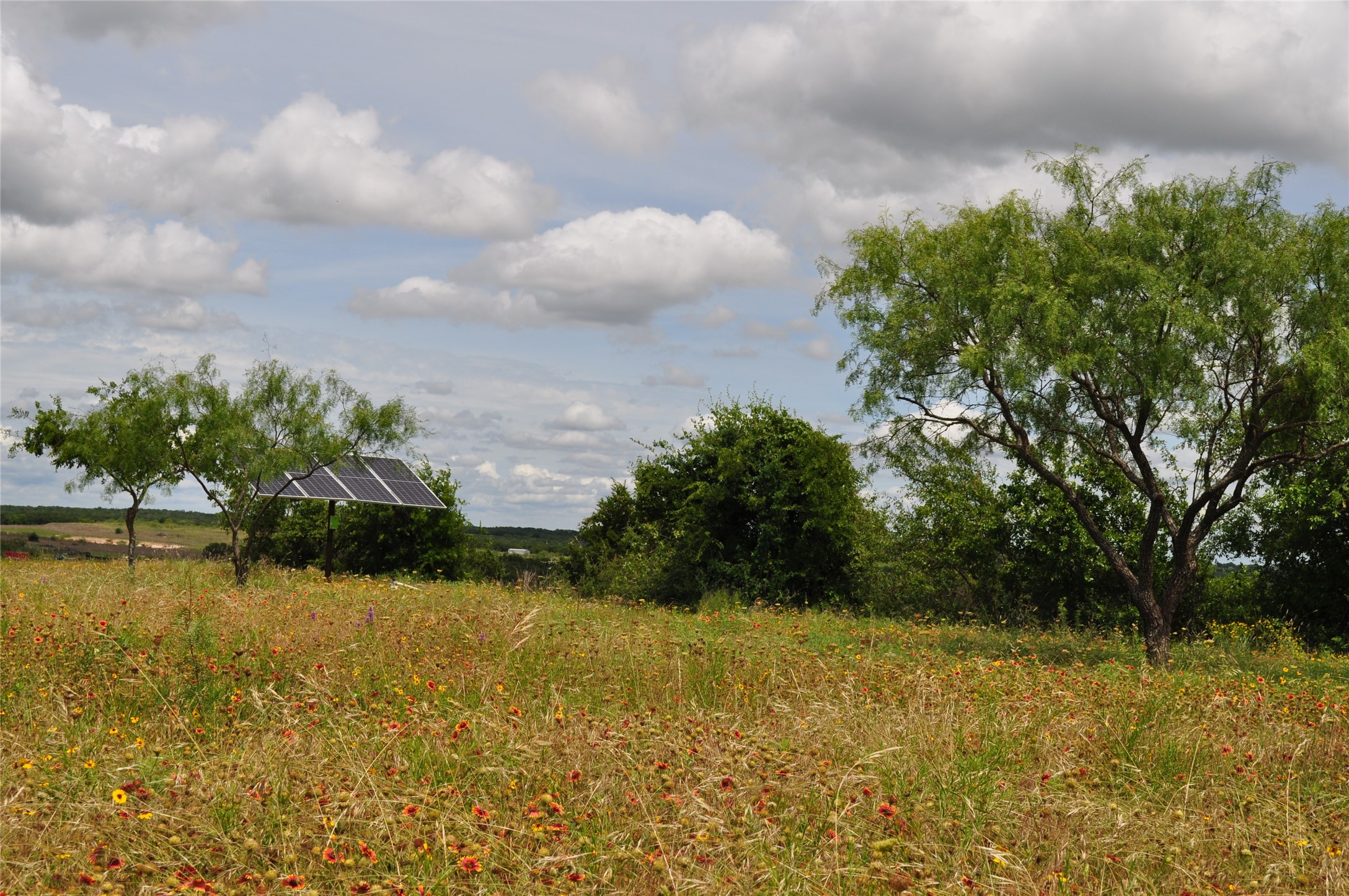1849 Two Bush Road Perrin TX 76486