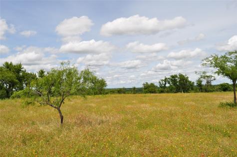 1849 Two Bush Road Perrin TX 76486