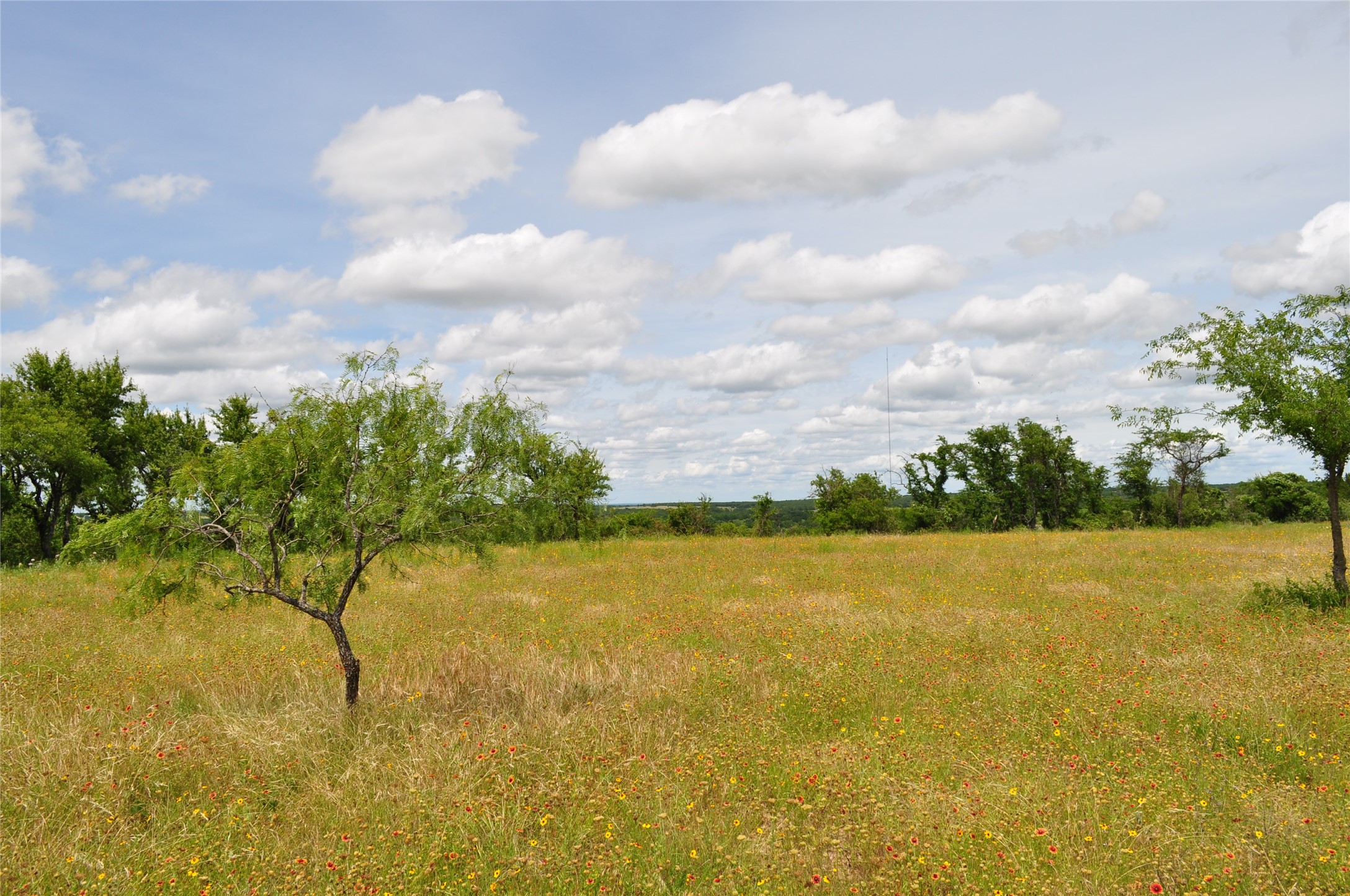 1849 Two Bush Road Perrin TX 76486