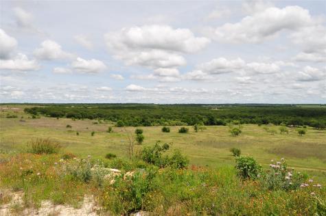 1849 Two Bush Road Perrin TX 76486