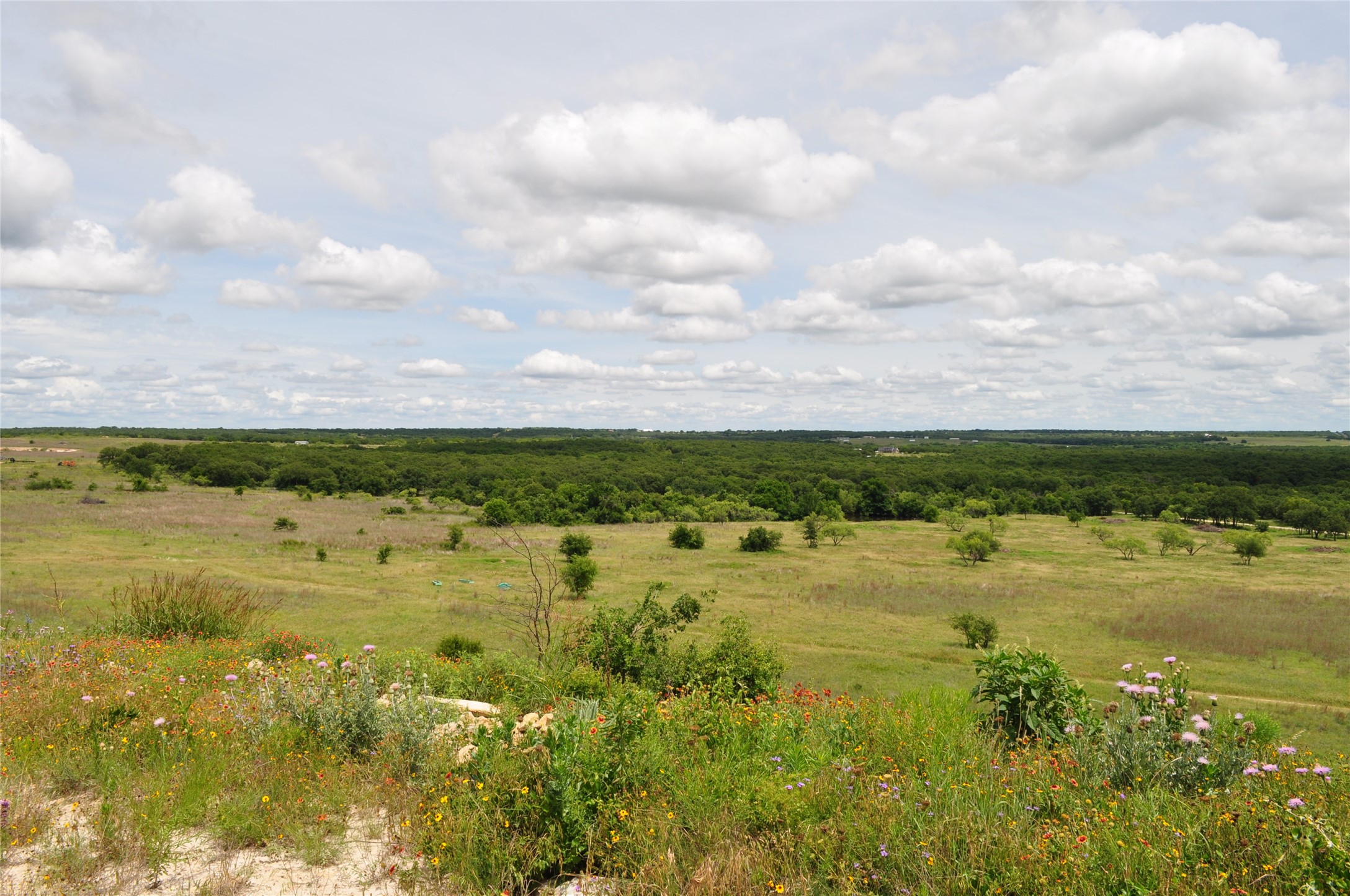 1849 Two Bush Road Perrin TX 76486
