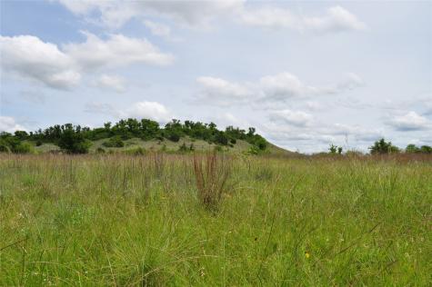 1849 Two Bush Road Perrin TX 76486