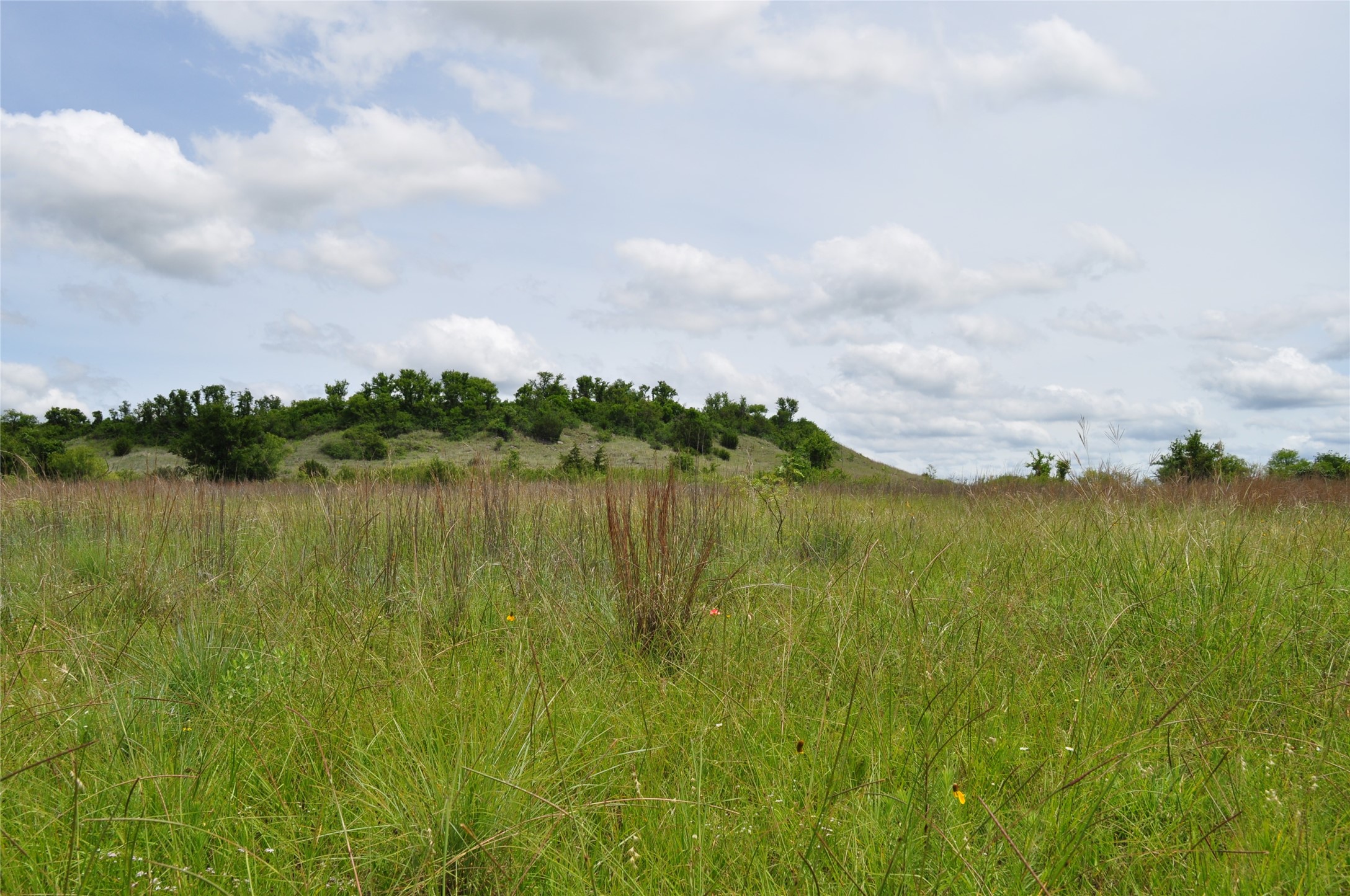 1849 Two Bush Road Perrin TX 76486