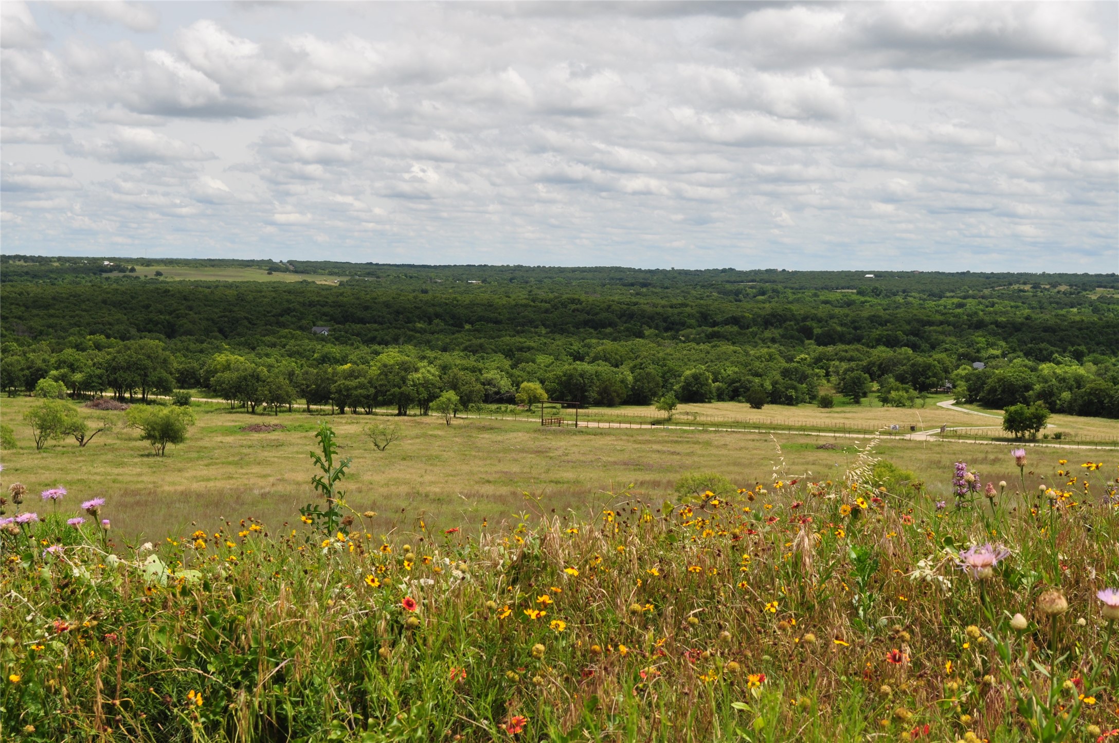 1849 Two Bush Road Perrin TX 76486